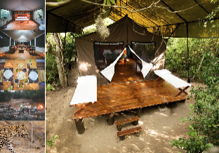 Yala Sri Lanka Promo Code Agoda.com