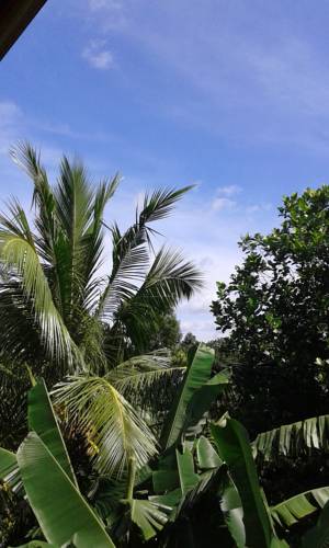 Tangalle Sri Lanka Promo Code Booking.com