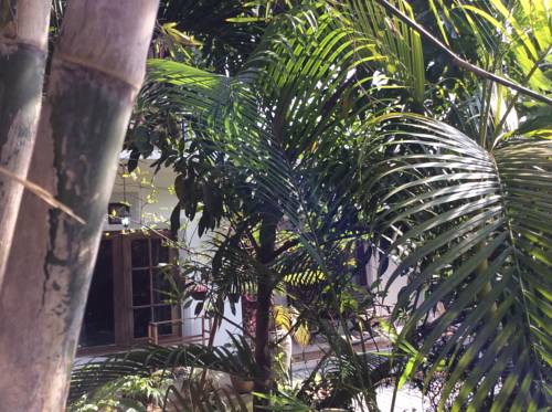 Weligama Sri Lanka Promo Code Booking.com