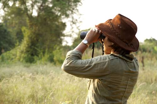 Wilpattu Sri Lanka Promo Code Booking.com