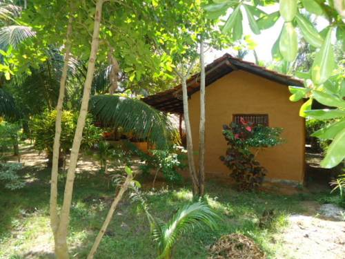 Tangalle Sri Lanka Promo Code Booking.com
