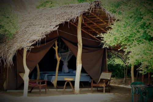 Yala Sri Lanka Promo Code Agoda.com