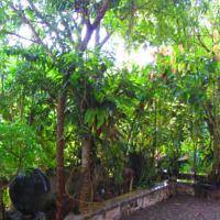 Hikkaduwa Sri Lanka Promo Code Booking.com