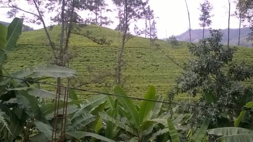 Ella Sri Lanka Promo Code Booking.com