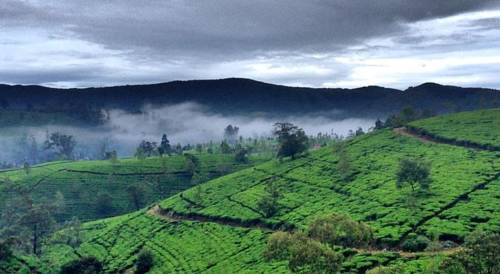 Nuwara Eliya Sri Lanka Promo Code Booking.com