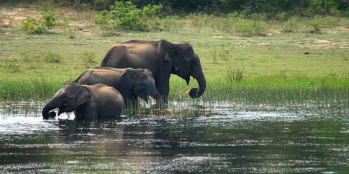 Tangalle Sri Lanka Promo Code Booking.com