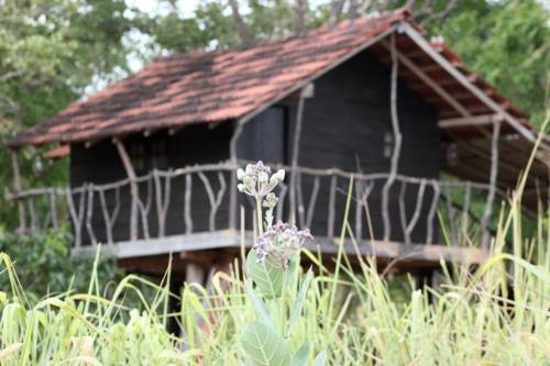 Habarane Sri Lanka Promo Code Booking.com