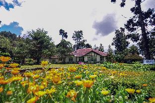 Nuwara Eliya Sri Lanka Promo Code Agoda.com