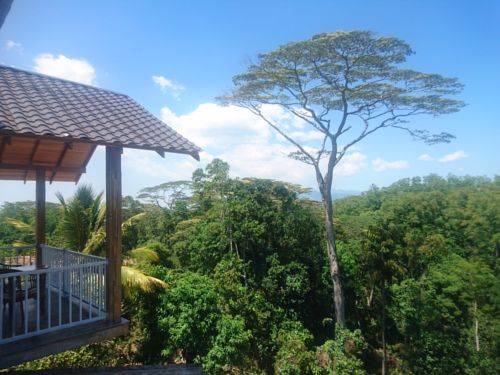 Kandy Sri Lanka Promo Code Booking.com