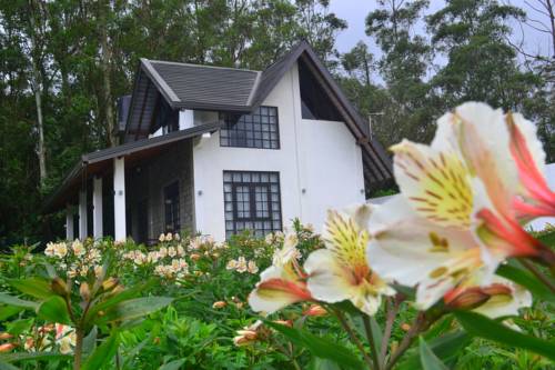 Nuwara Eliya Sri Lanka Promo Code Booking.com