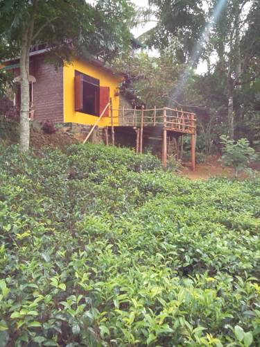 Passara Sri Lanka Promo Code Booking.com