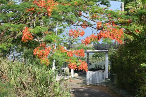 Kandy Sri Lanka Promo Code Booking.com