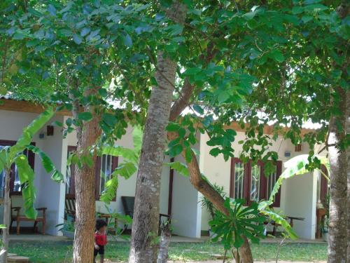 Tangalle Sri Lanka Promo Code Agoda.com
